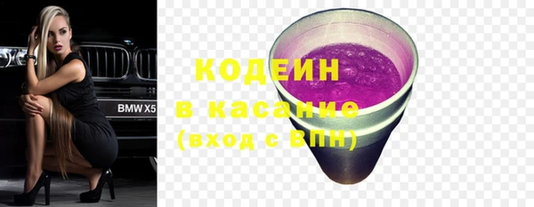 PSILOCYBIN Алзамай