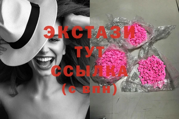 PSILOCYBIN Алзамай