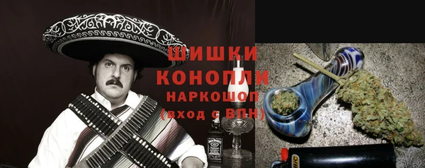 PSILOCYBIN Алзамай